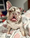 Mabel - Photo 6