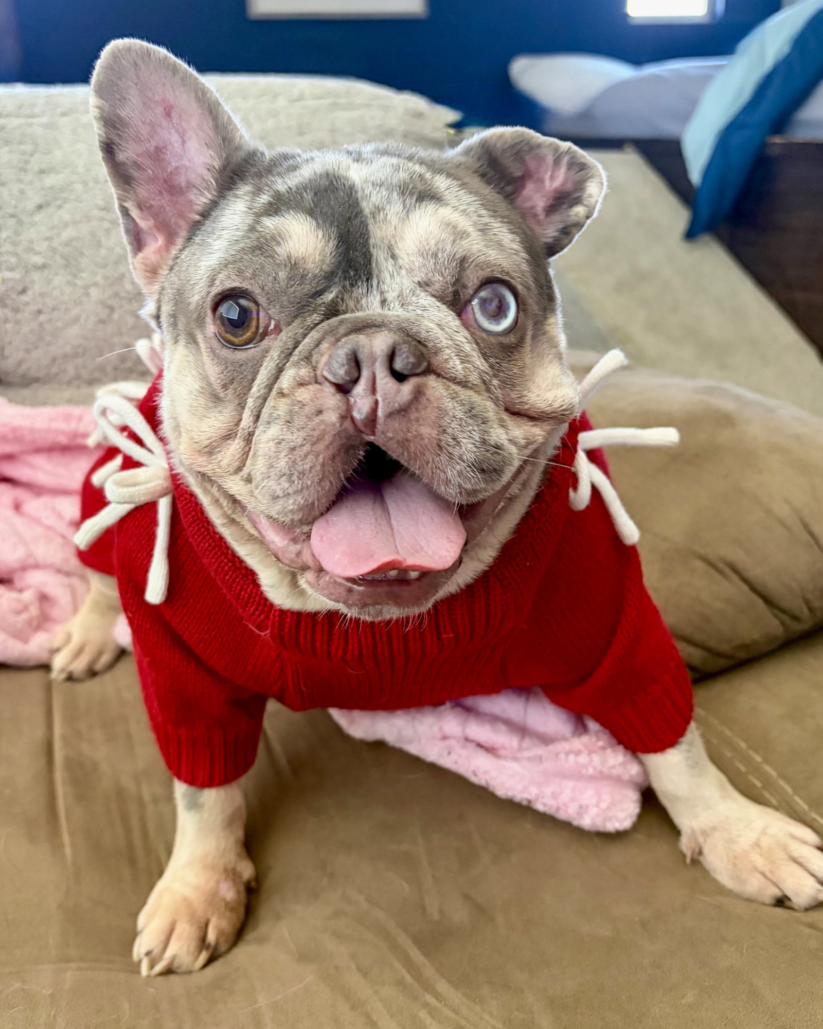 Mabel Image
