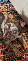Mabel - Photo 18