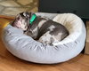 Mabel - Photo 14