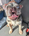Mabel - Photo 17