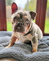 Mabel - Photo 12