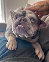 Mabel - Photo 13