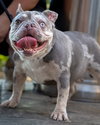 Mabel - Photo 11