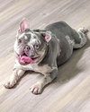 Mabel - Photo 10