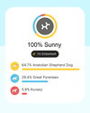 Sunny - Photo 5