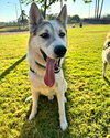 Bandit - Photo 14