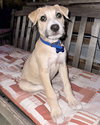 Luka - Photo 13