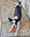 Evie - Photo 10