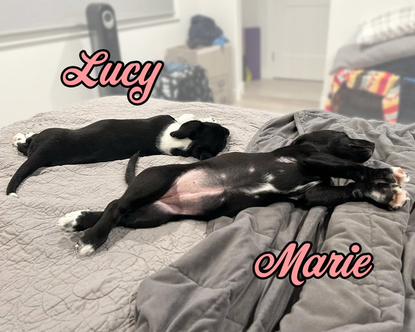 Marie