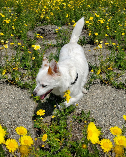 Miles photo 6