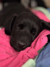 Jada - Photo 8