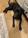 Jada - Photo 12