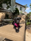 Jada - Photo 7