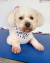 Charlie - Photo 2