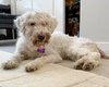 Clementine - Photo 16