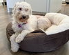 Clementine - Photo 14