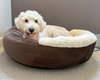 Clementine - Photo 10