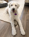 Clementine - Photo 1
