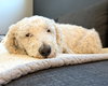Clementine - Photo 6