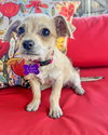 Tia - Photo 3