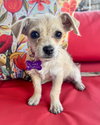 Tia - Photo 2