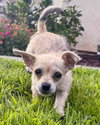 Tia - Photo 5