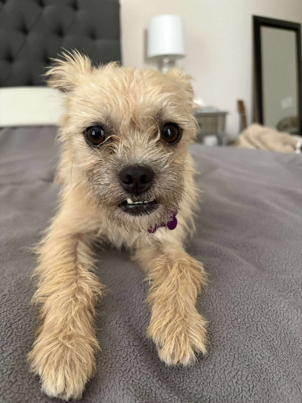 Josie