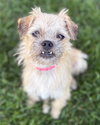 Josie - Photo 2