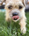 Josie - Photo 3