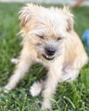 Josie - Photo 6