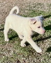 Lily - Photo 8