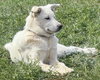 Lily - Photo 2