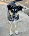 Bellatrix - Photo 3