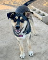Bellatrix - Photo 2