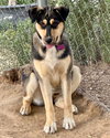 Bellatrix - Photo 5