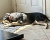 Tonks - Photo 2