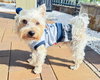 Toro - Photo 4