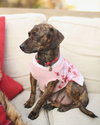 Millie - Photo 4