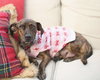Millie - Photo 5