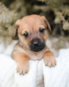 Milo - Photo 5