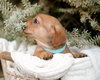 Marty - Photo 5