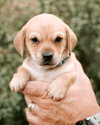 Max - Photo 5