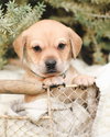 Max - Photo 3