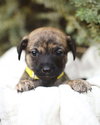 Margo - Photo 7