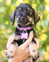 Hattie - Photo 3