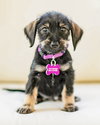 Hattie - Photo 1