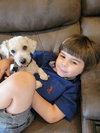 Pickles - Photo 6