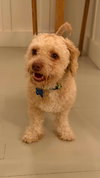 Sebastian - Photo 7