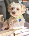Sebastian - Photo 1